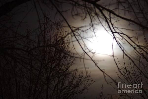 Moon Poster featuring the photograph Hazy moon through the trees by Brandi Christon