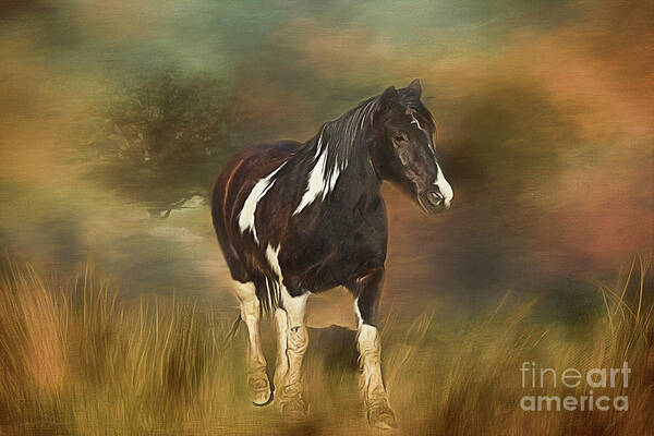 Horse Poster featuring the photograph Heading For Home by Teresa Wilson