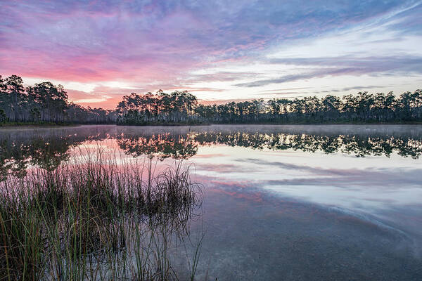 Everglades Poster featuring the photograph Here Comes the Color by Jon Glaser