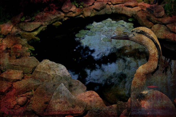 Heron Poster featuring the photograph Heron and The Koi Pond by Lesa Fine