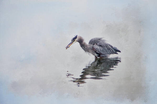 Heron Poster featuring the photograph Heron Fishing - textured by Marilyn Wilson