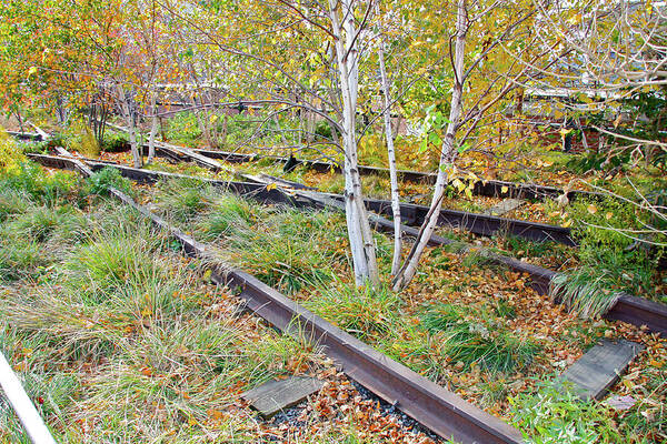 The High Line Poster featuring the photograph High Line Print 2 by Terry Wallace