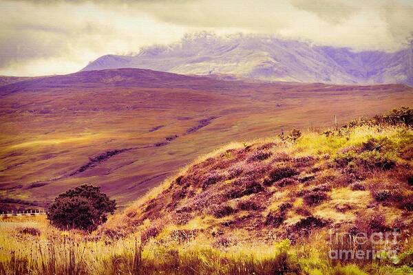 Scottish Poster featuring the photograph Highland Landscape by Diane Macdonald