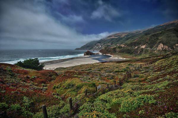 Beach Poster featuring the photograph Highway Nr. 1 Flower Power - California by Andreas Freund