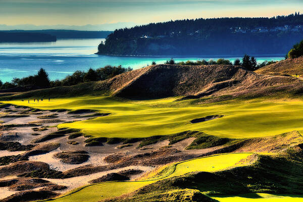Hole #14 At Chambers Bay Poster featuring the photograph Hole #14 at Chambers Bay by David Patterson