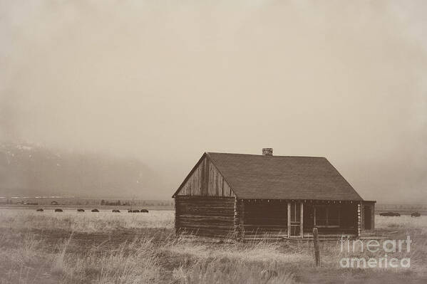 Mormon Row Poster featuring the photograph Homestead by Reva Dow