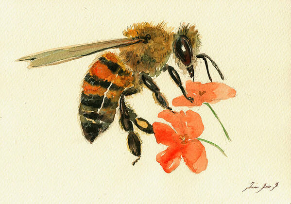 Honey Bee Art Poster featuring the painting Honey bee watercolor painting by Juan Bosco