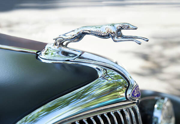 Antique Cars Poster featuring the photograph Hood Ornament Ford by Theresa Tahara