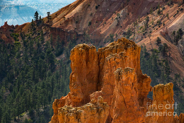 Bryce Canyon Poster featuring the photograph Hoodoos of Bryce Canyon by Doug Sturgess