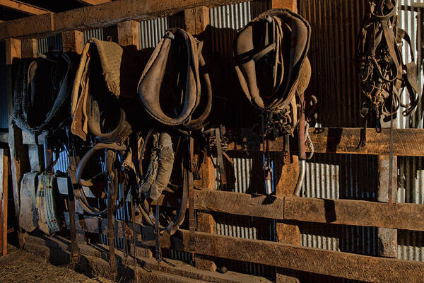 Barn Poster featuring the photograph Horse Collars and Harness by Alana Thrower