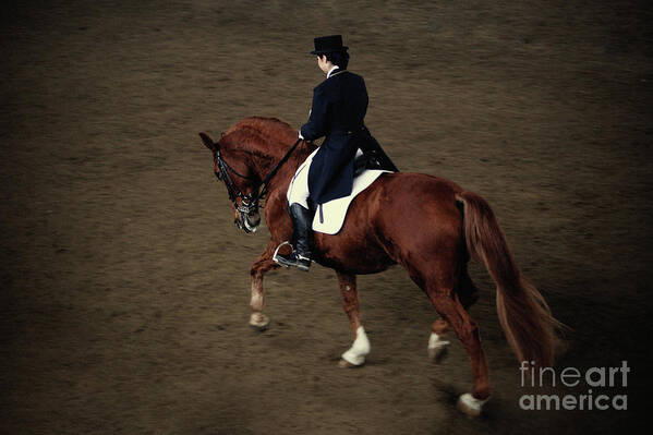 Horse Poster featuring the photograph Horse Dressage by Dimitar Hristov