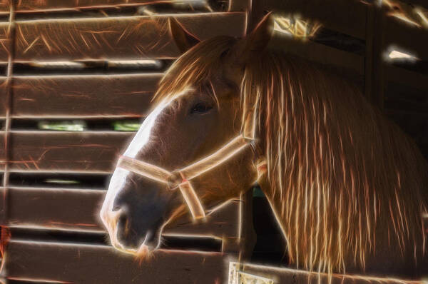 Horse Poster featuring the digital art Horse Electric by Flees Photos