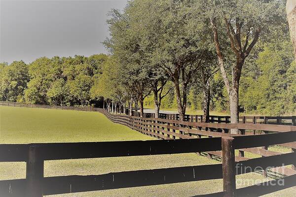 Landscape Poster featuring the photograph Horse Farm by Carol Riddle