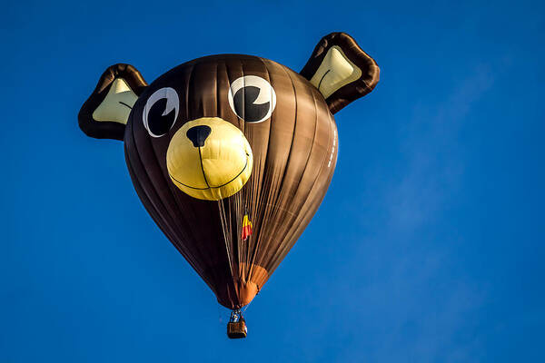 Victor The Bear Poster featuring the photograph Victor The Bear - Hot Air Balloon by Ron Pate