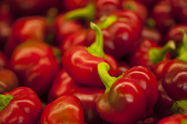 Abundance Poster featuring the photograph Hot cherry peppers by Brian Green