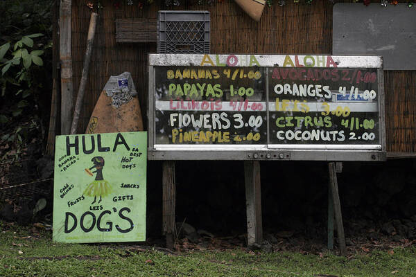  Poster featuring the photograph Hula Dogs by Kenneth Campbell