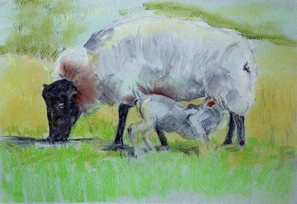  Poster featuring the painting Hungry Lamb by Kathleen Barnes