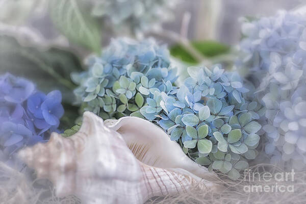 Hydrangeas Poster featuring the photograph Hydrangeas By The Sea by Mary Lou Chmura