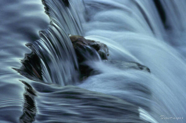 Waterfall Poster featuring the photograph In The Flow by Terri Harper