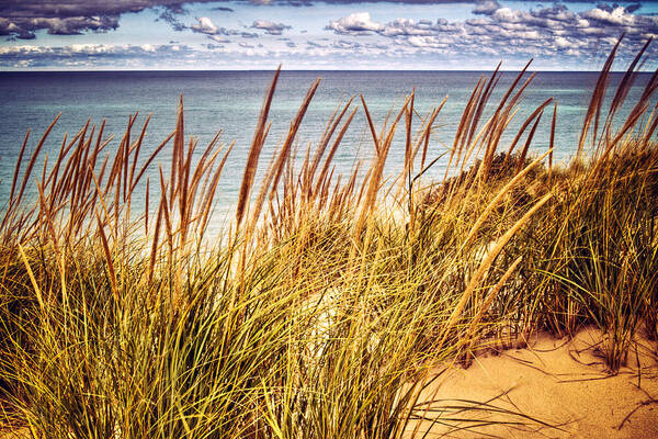 Indiana Dunes Poster featuring the photograph Indiana Dunes National Lakeshore by Roger Passman