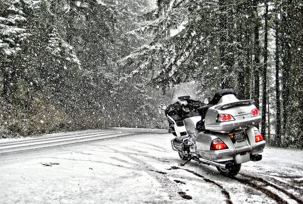 Motorcycles Poster featuring the photograph Into the Winter Storm by Rob Green