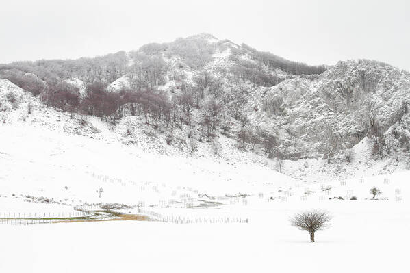 Atmosphere Poster featuring the photograph Invierno en Arraba by Natura Argazkitan