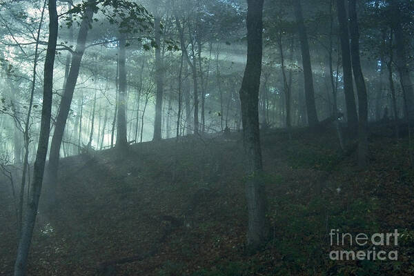 Forest Poster featuring the photograph Iowa Fog rays by Sven Brogren