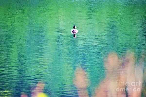 Duck Poster featuring the photograph Its just me by Merle Grenz