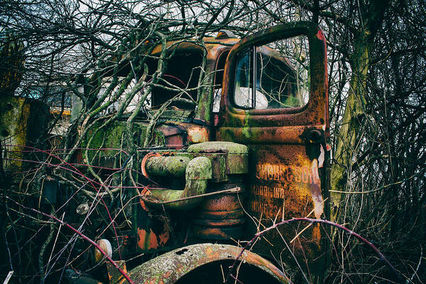 Rust Poster featuring the photograph I've Created A Monster by Off The Beaten Path Photography - Andrew Alexander