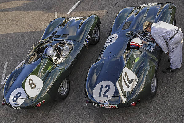 Goodwood Motor Circuit Poster featuring the photograph Jags Waiting to Race by M Gordon Johnson