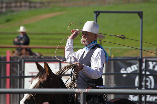Riata Roping 2013 Poster featuring the photograph Jay Harney 1 by Diane Bohna