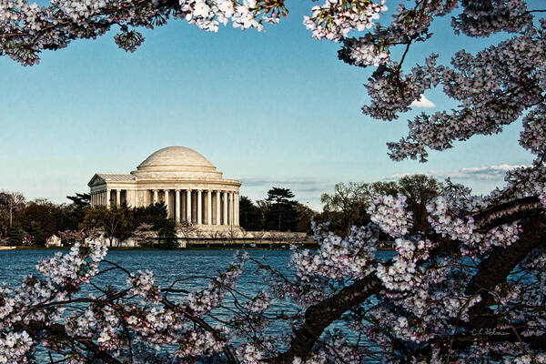 Memorial Poster featuring the photograph Jefferson Memorial In Spring by Christopher Holmes