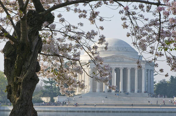 Architecture Poster featuring the photograph Jefferson morning by Brian Green