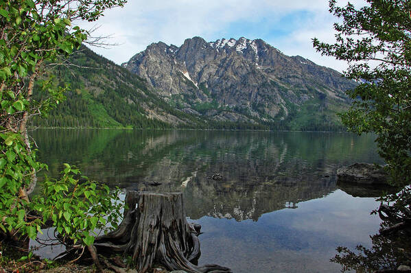 Jenny Lake Poster featuring the photograph Jenny Lake by Ben Prepelka