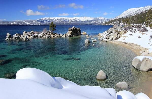 Lake Tahoe Poster featuring the photograph Jewels of Winter by Sean Sarsfield