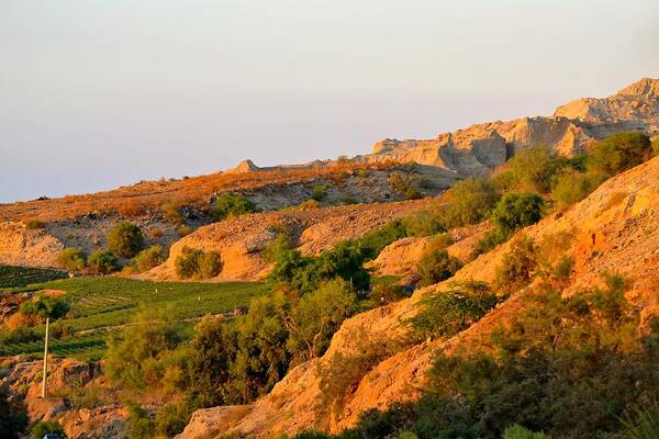 Jordan Poster featuring the photograph Jordanian Hills by Carol Sheli Cantrell