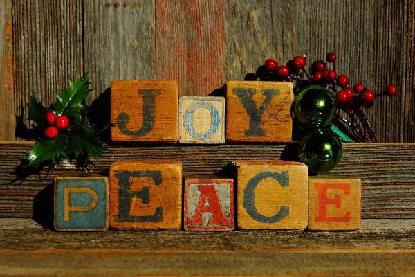 Christmas Poster featuring the photograph Joy and Peace by Steven Clipperton