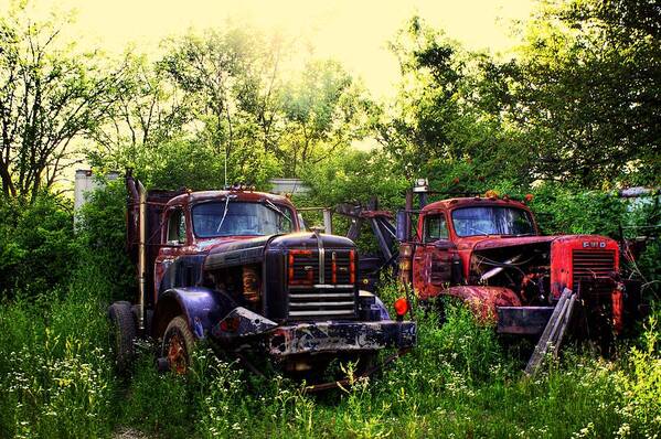 Salvage Yard Poster featuring the photograph Junkyard Dogs by Off The Beaten Path Photography - Andrew Alexander