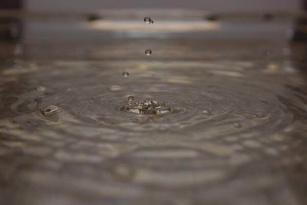 Water Poster featuring the photograph Just a Drop by Michael Albright