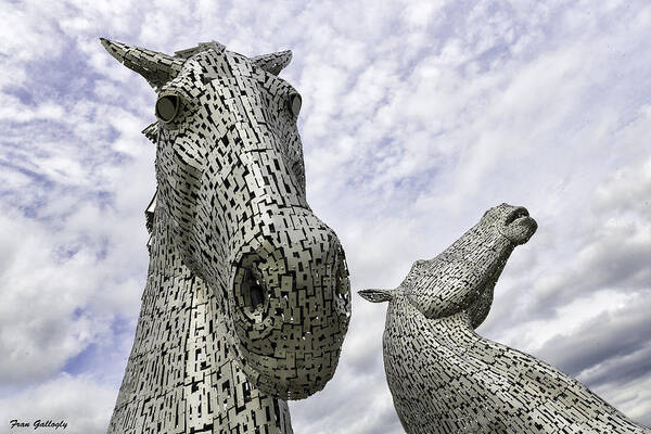 Horses Poster featuring the photograph Kelpies by Fran Gallogly