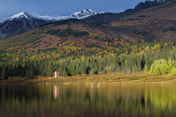 Alaska Poster featuring the photograph Kenai Mountains Cabin in Fall by Scott Slone
