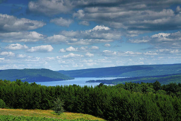 Lake Poster featuring the photograph Keuka Landscape V by Steven Ainsworth