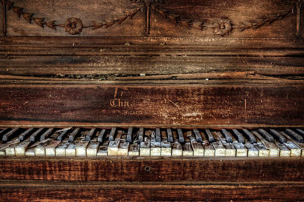 Piano Poster featuring the photograph Keyless by Ken Smith