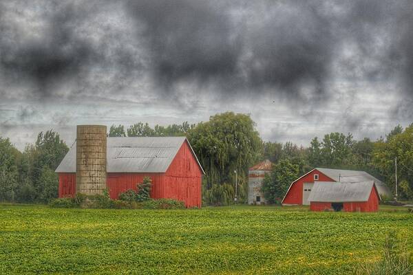 Barn Poster featuring the photograph 0022 - Kingston Road Red Trio I by Sheryl L Sutter