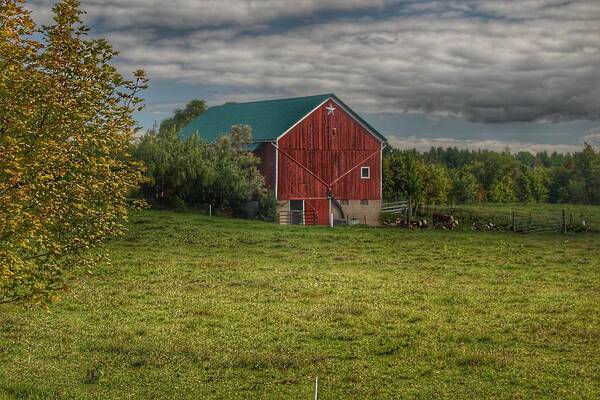 Barn Poster featuring the photograph 0039 - Kingston's Plain Road Cow Barn I by Sheryl L Sutter