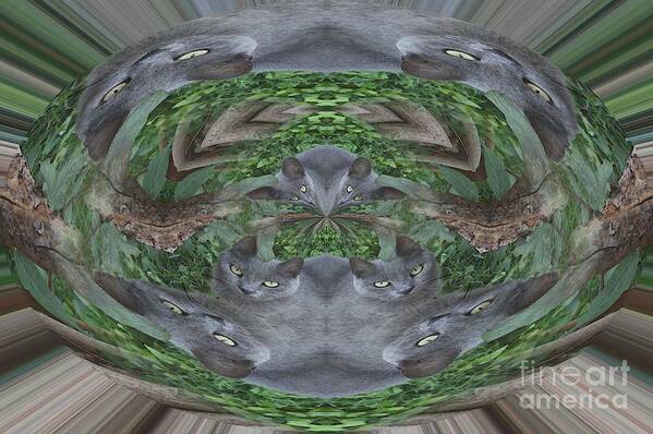 Cat Poster featuring the photograph Kitty Abstract by Beverly Shelby