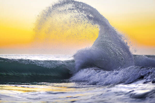  Sea Poster featuring the photograph Kraken's Claw by Sean Davey