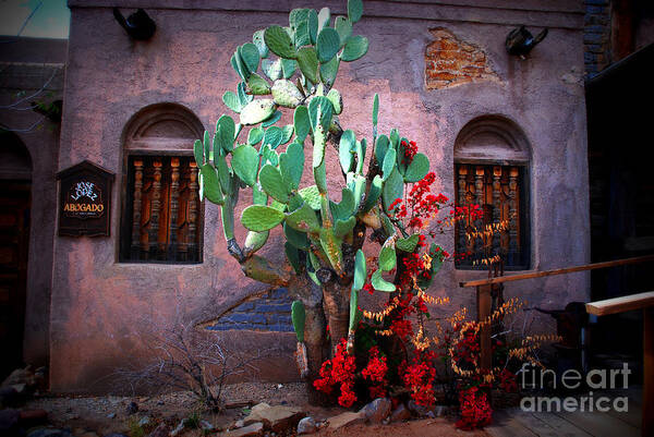 Hacienda Poster featuring the photograph La Hacienda in Old Tuscon AZ by Susanne Van Hulst