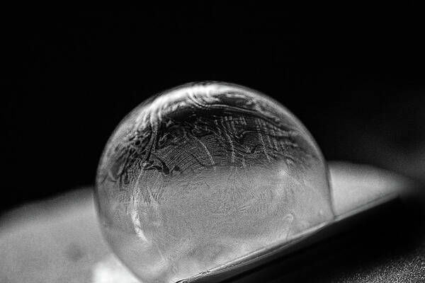 Frozen Bubble Poster featuring the photograph Lapse by Sue Capuano