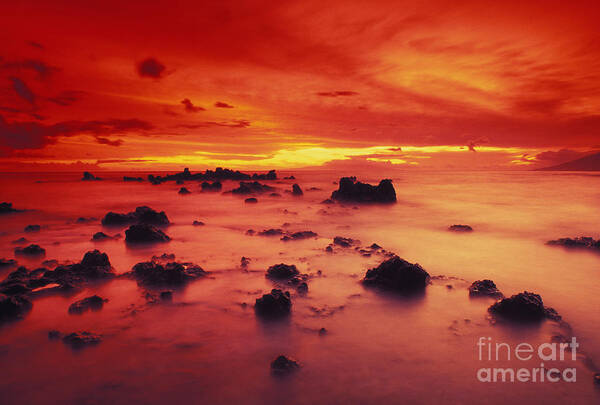 Amaze Poster featuring the photograph Lava Rock Beach by Dave Fleetham - Printscapes